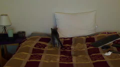 hammerthatthang73 online show from 10/14/25, 08:59