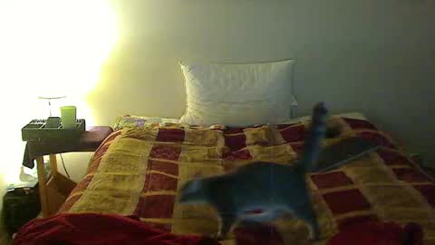 hammerthatthang73 online show from 11/03/25, 01:29