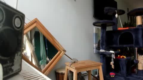 Snapshot of handncocknocum chatting on 02/25/25, 10:47 handncocknocum online show from 02/25/25, 10:47