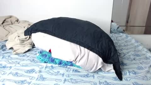 Snapshot of handsome_white1 chatting on 01/14/25, 01:06 jorge daniel online show from 01/14/25, 01:06