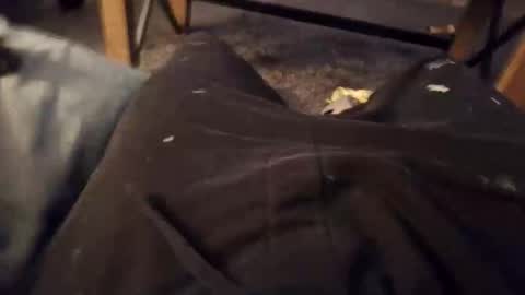 handylong88 online show from 11/19/25, 05:51