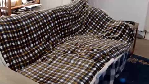 handz2 online show from 04/17/26, 10:35