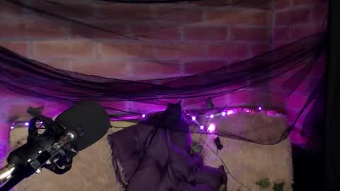 Snapshot of hannah_valhalla chatting on 12/16/25, 02:05 Hannah online show from 12/16/25, 02:05