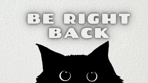 Hanna online show from 01/24/25, 08:11