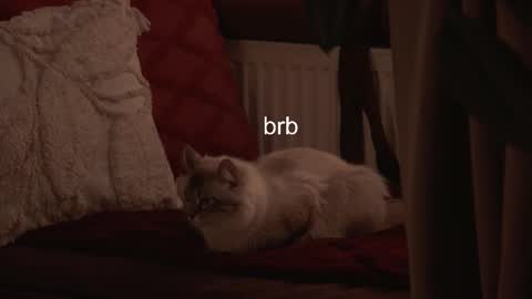 Snapshot of hannasthesia chatting on 02/03/26, 06:40 Hanna online show from 02/03/26, 06:40