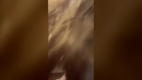 hansywake online show from 04/26/26, 03:32