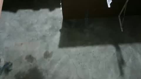 happy00725310 online show from 12/19/25, 11:50