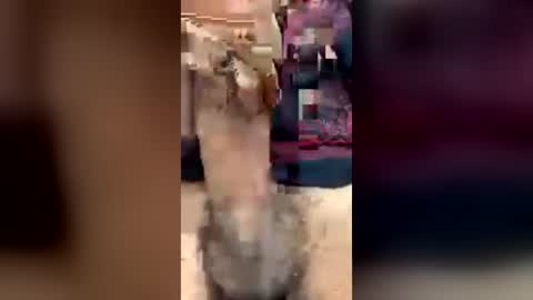 happy_2please online show from 06/20/26, 03:59