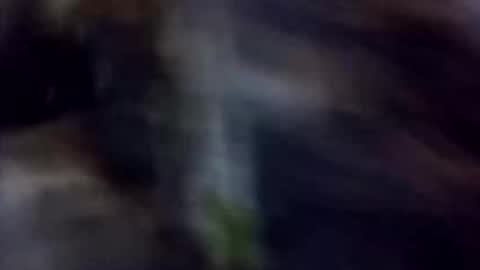 happydick69a online show from 10/02/25, 01:29