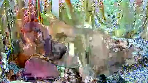 happysonia online show from 03/18/26, 08:06