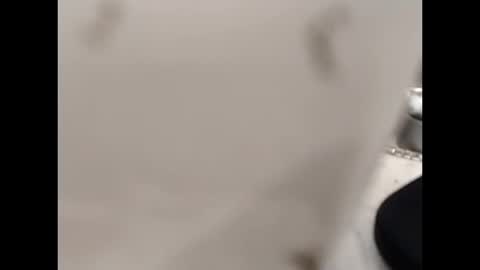 hardandhorny422 online show from 10/12/25, 12:59