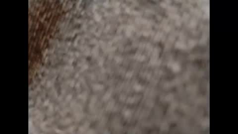 hardandhorny422 online show from 10/15/25, 11:54