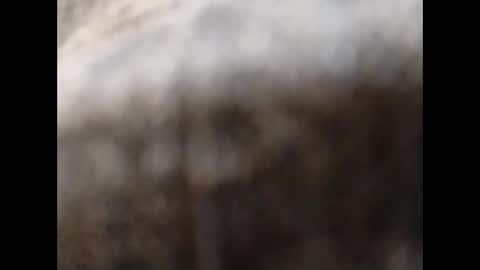 hardandhorny422 online show from 11/11/25, 11:54