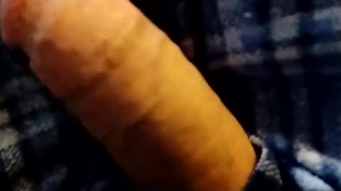 hardandhorny422 online show from 02/01/26, 09:02