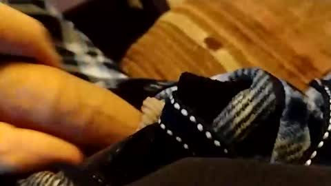 hardandhorny422 online show from 04/12/26, 06:35