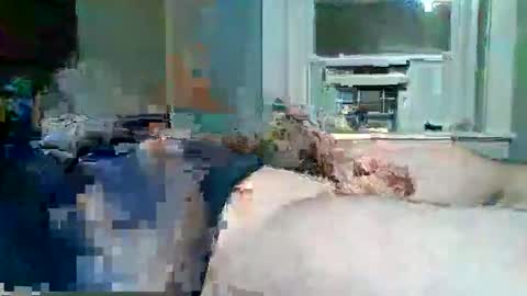 cervixpainter25 online show from 11/30/25, 06:50