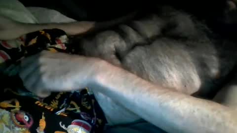 Snapshot of hardnick696 chatting on 02/13/25, 01:59 hardnick696 online show from 02/13/25, 01:59