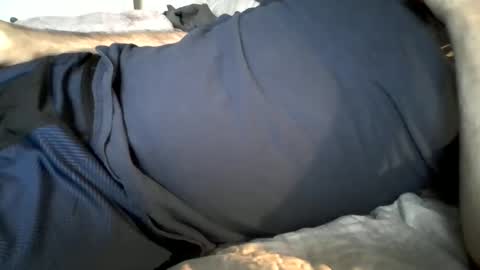Snapshot of hardnick696 chatting on 02/19/25, 11:14 hardnick696 online show from 02/19/25, 11:14