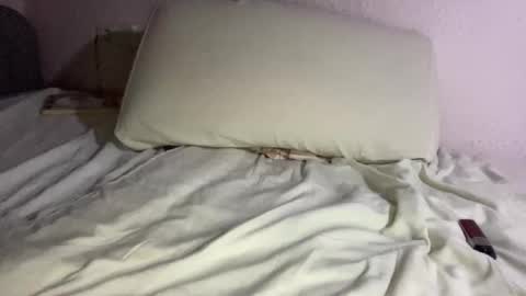 Snapshot of hardnstyle chatting on 10/20/25, 12:00 HARD AND STYLE online show from 10/20/25, 12:00