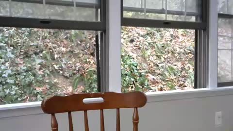 hardworkertn online show from 02/08/25, 07:16