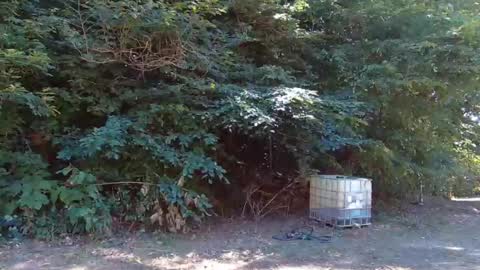 hardworkertn online show from 09/23/25, 06:33