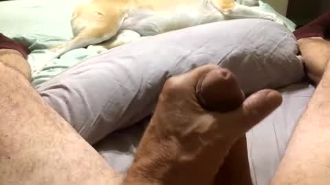 Harley99 online show from 11/11/25, 01:16