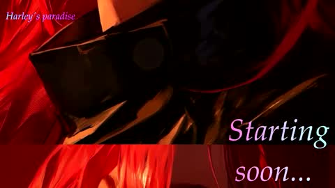 Snapshot of harleyparadise chatting on 02/11/26, 08:19 900 am to 300 pm - GTM 5 Weekdays online show from 02/11/26, 08:19