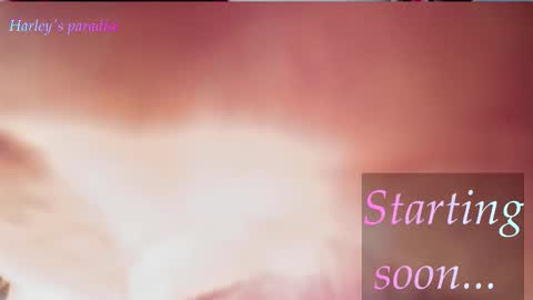 Snapshot of harleyparadise chatting on 02/14/26, 07:27 900 am to 300 pm - GTM 5 Weekdays online show from 02/14/26, 07:27