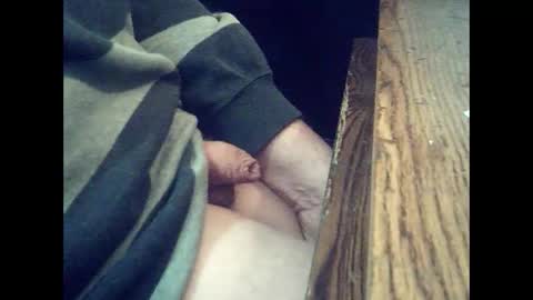 harold4848 online show from 02/01/25, 08:26