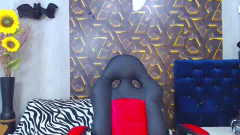 Harry online show from 11/05/25, 09:59