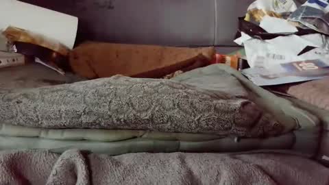 hartl1112 online show from 12/04/25, 10:24