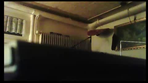 hot n  nasty online show from 12/08/24, 03:24