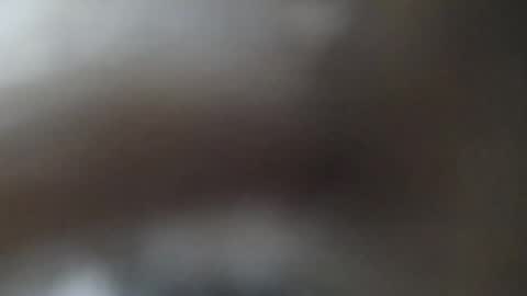 philatio online show from 12/28/24, 08:16