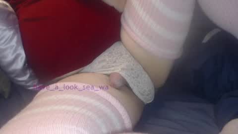 Snapshot of have_a_look_sea_wa chatting on 12/19/24, 04:45 have_a_look_sea_wa online show from 12/19/24, 04:45