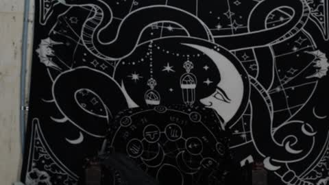 Hayle Woods online show from 12/04/24, 02:42