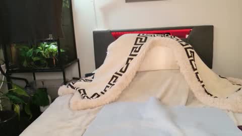 Hazeleo online show from 03/29/26, 11:16