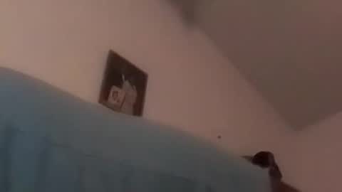 hbdj2164 online show from 12/17/24, 10:34