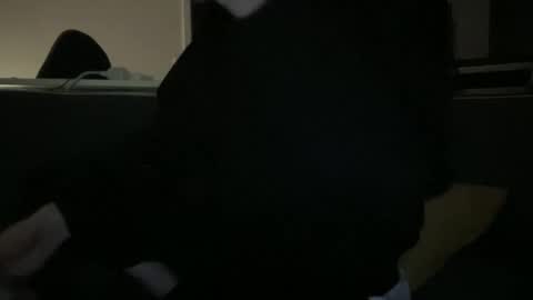 hchappel19 online show from 10/01/25, 08:15