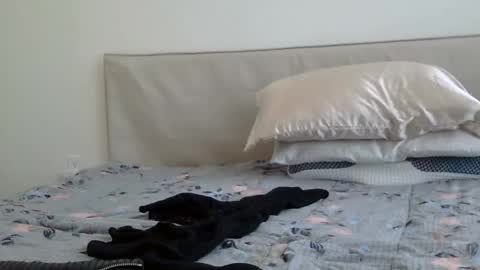 Snapshot of heatwavee chatting on 02/02/25, 08:08 heatwavee online show from 02/02/25, 08:08