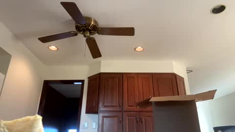 Snapshot of heatwavee chatting on 11/04/25, 12:59 heatwavee online show from 11/04/25, 12:59