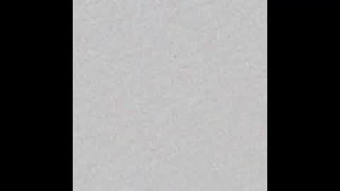 HEDONISTIC TRAIT online show from 12/15/25, 09:24