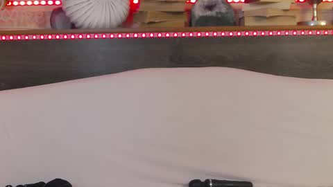    online show from 02/22/25, 07:12