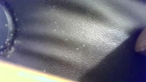 Snapshot of hellobunbunx0 chatting on 12/24/24, 12:11 hellobunbunx0 online show from 12/24/24, 12:11