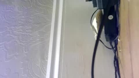 Snapshot of hellobunbunx0 chatting on 12/27/24, 04:43 hellobunbunx0 online show from 12/27/24, 04:43