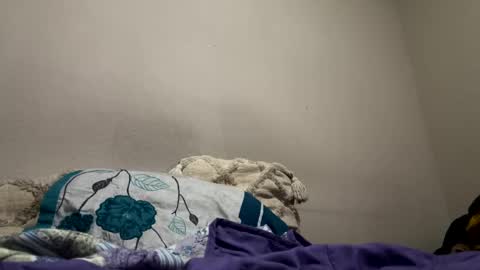 hellokitten123 online show from 01/28/25, 09:40