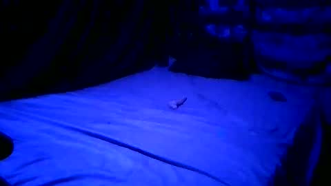 SissyNutsBustedCounter online show from 04/23/26, 08:02