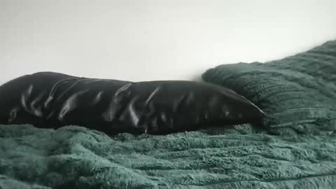 DrixxTheGod online show from 04/05/26, 04:26