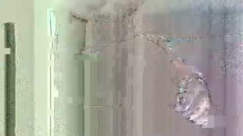 herbee510 online show from 01/16/26, 09:30