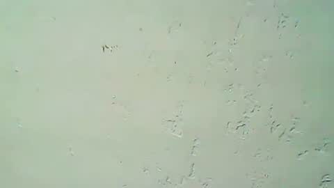 Snapshot of hhhjnf1 chatting on 09/20/25, 03:07 hhhjnf1 online show from 09/20/25, 03:07