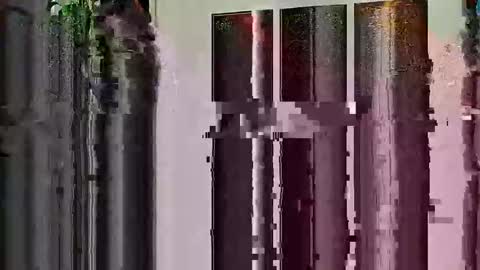 Highandhell online show from 02/19/26, 12:50